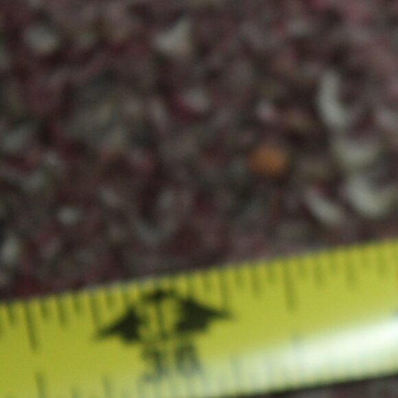 Vintage Folding Nova Check Tartan Plaid Umbrella Unisex - Picture 5 of 8